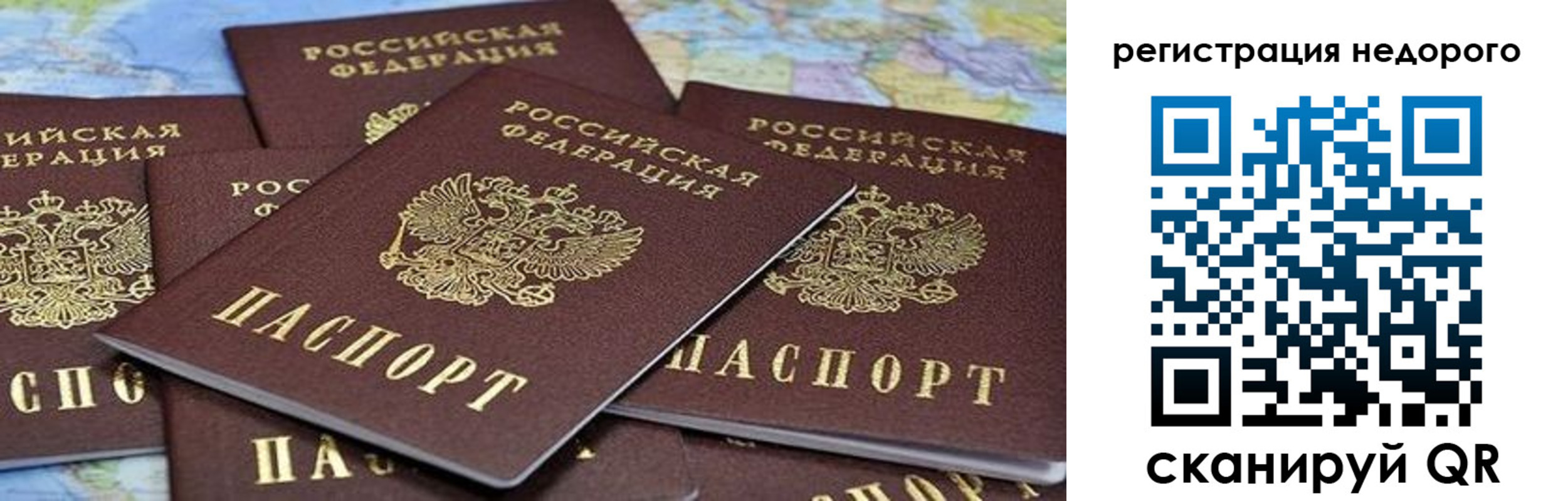 прописка штамп в Алексеевке